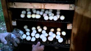 Smoked Hard Boiled Eggs How To [upl. by Ydneh55]