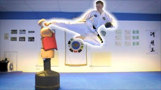 Taekwondo Kicking Sampler on the BOB XL  Martial Arts Training [upl. by Jeannine256]