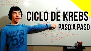 Ciclo de Krebs Paso a Paso  DESDE CERO [upl. by Madson]