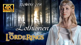 Lothlórien  LORD OF THE RINGS  Ambience [upl. by Wadleigh120]