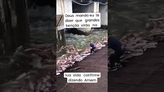 Grandes benção estão vindo 🙏💸 deus mandar avisar grande benção virao vida [upl. by Teagan]