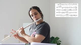 L Drouet 25 studies for flute  8 Adagio [upl. by Naehs138]