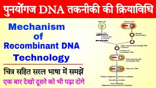 recombinant DNA technology in hindi  application of recombinant dna technology  biology ScienceSK [upl. by Atalee]