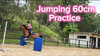 Fudges 60cm jumping practice [upl. by Ennovyahs674]