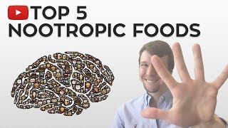 The TOP 5 Nootropic Foods [upl. by Mayberry]