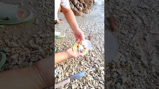 pearl seafood hunting pearls picking pearls fishing food satisfying relax fish outdoors [upl. by Nnyluqcaj]