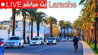 العرائش قلب المدينة مازالت موجة البرد غدا فاتح مارس Larache [upl. by Kado]