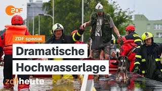 Hochwasser in Europa  Dauerregen und steigende Pegelstände I ZDF spezial [upl. by Aldwon]