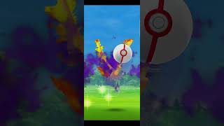 Shadow Moltres Raid Boss  Pokemon Go [upl. by Arabelle62]