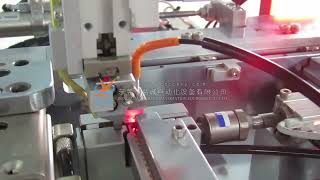 DF European Standard Micro Switch Shrapnel Assembly Machine [upl. by Madelle61]