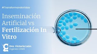 ¿Es mejor la Inseminación Artificial o la Fertilización In Vitro  Ingenes [upl. by Leaffar]