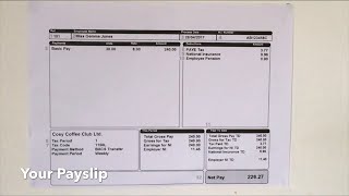 Understanding Your Payslip  Ridgefield Consulting [upl. by Einahpehs]