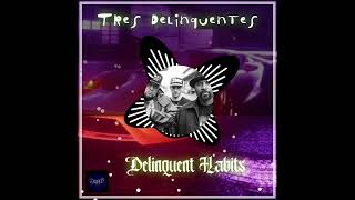 Tres Delinquentes Bass Boosted  Delinquent Habits bassboosted throwback hiphop mexican 90s [upl. by Dammahum]