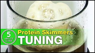 The best way to tune your Protein Skimmer Learn how in just 5minutes [upl. by Droc]