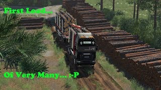 FS19  Forestry On Holmåkra  First Load  Timelapse  S02 EP22 [upl. by Atselec191]