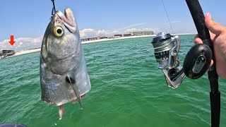 I Tossed a CUT BAIT along this Damaged GULF PIER and Caught THIS [upl. by Aciamaj]