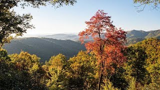 Asheville Fall Color Report for October 24 2018 [upl. by Mayram]