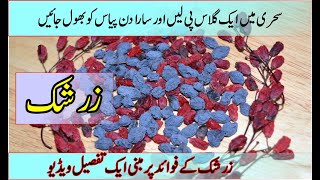 Barberry  Zarishk Benefits in Urdu زرشک کے فائدےKhurram Shahzad MalhiPasban Clinic [upl. by Avilo157]