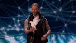 Darcy Oake  Dove Magic [upl. by Akyre]