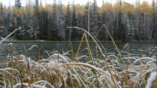 Fall Fishing on Boulder Mountain [upl. by Tnomyar]