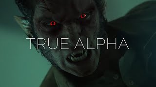 Scott McCall True Alpha [upl. by Rodriguez]