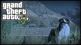 GTA 5 Next Gen  THREE Peyote Plant Locations 5 6 amp 7  quotPlay as Animalsquot 727 Peyote Plants [upl. by Tartaglia]