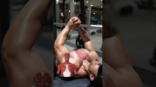 INNER CHEST WORKOUT  Targeted Exercise for a Stronger Chest [upl. by Ahsets]