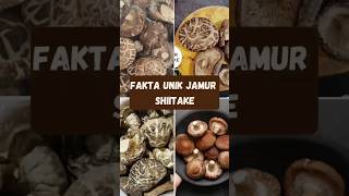 Fakta unik jamur shiitake ‼️ shortvideo vidio vidioshorts shitake vidioviral shortviral [upl. by Halbeib]