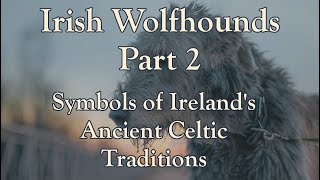 Irish Wolfhounds  Part 2 Symbols of Irelands Ancient Celtic Traditions [upl. by Mcquade]