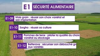 Les Culturales 2023  découvrez l’espace technique sur la sécurité alimentaire 34  ARVALISfr [upl. by Akoyin743]