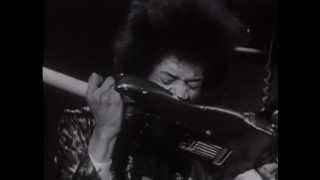 Jimi Hendrix Purple Haze Live lyrics [upl. by Belva]