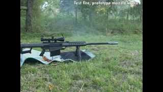 Barrett M82A1 50 Cal [upl. by Belsky]