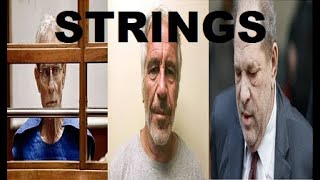 ED BUCK JEFFREY EPSTEIN HARVEY WEINSTEIN STRINGS [upl. by Alcock389]