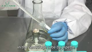 Testing of antimicrobial peptides  Sample preparation [upl. by Ardnasyl]