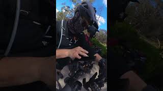 Creek to and around Lake Ginninderra with Costas and Jason Video 1 [upl. by Glasgo]