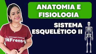 Sistema Esquelético II Anatomia e Fisiologia [upl. by Yellek736]