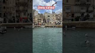 Sliema harbour MALTA [upl. by Holbrook721]