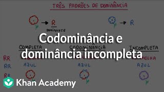 Codominância e dominância incompleta [upl. by Lucio]