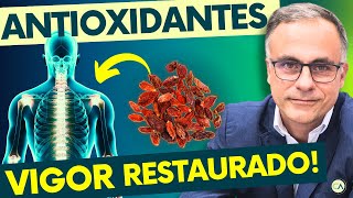 4 MELHORES ANTIOXIDANTES Vitaminas que NUNCA DEVEM FALTAR [upl. by Vasilis838]