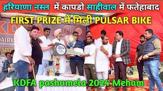 🤟हरियाणा नस्ल में कापडो🤟साहीवाल में फतेहाबाद👉FIRST PRIZE में मिली PULSAR BIKEKDFA pashumela 2024 [upl. by Arianne]