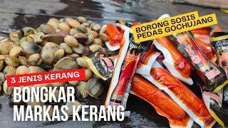 Borong Sosis Gochujang buat bekal berburu di markas besar 3 jenis kerang‼️ [upl. by Anirbes]