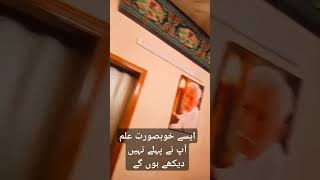 mashallAh khobsurat Alam pak aur taboot sakina ziarat kare ameen😭subscribe shortvideo [upl. by O'Hara]