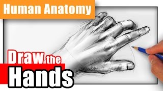 How to Draw Hands from Any Angle [upl. by Yeliac]