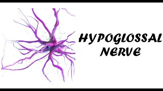 Hypoglossal Nerve Examination  Cranial Nerve 12 Examination  Examination of Hypoglossal Nerve [upl. by Lichter110]