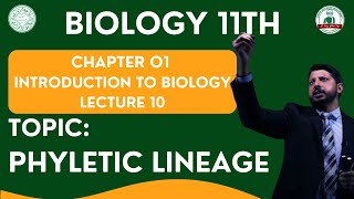 Phyletic Lineage  CHP 01  LECTURE 10  Grade 11 Biology [upl. by Sims]