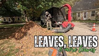 NH Fall Cleanup Small Crew Big Equipment [upl. by Vania104]