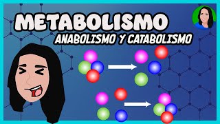 Metabolismo  anabolismo y catabolismo [upl. by Wharton625]