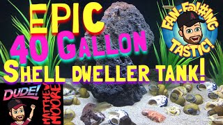 Epic 40 gallon shell dweller tank [upl. by Margetts]