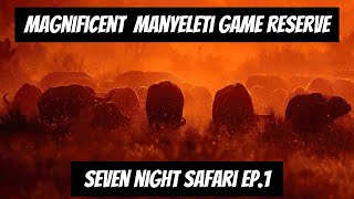 Magnificent Manyeleti Game Reserve  7 Night Safari Ep1 [upl. by Ordnajela]