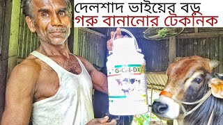 গরু বড় বানানোর টেকনিক।বড় গরু পালন পদ্ধতিTechniques of making cows big Methods of rearing big cows [upl. by Beaston176]